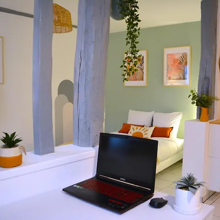 Le Panama - 5 Min A Pied Du Centre Avec Jardin Apartment *