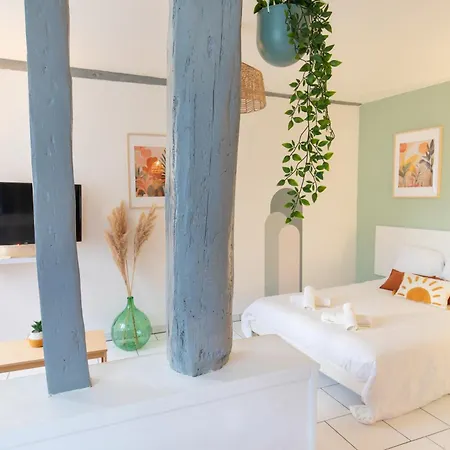 Le Panama - 5 Min A Pied Du Centre Avec Jardin Apartment